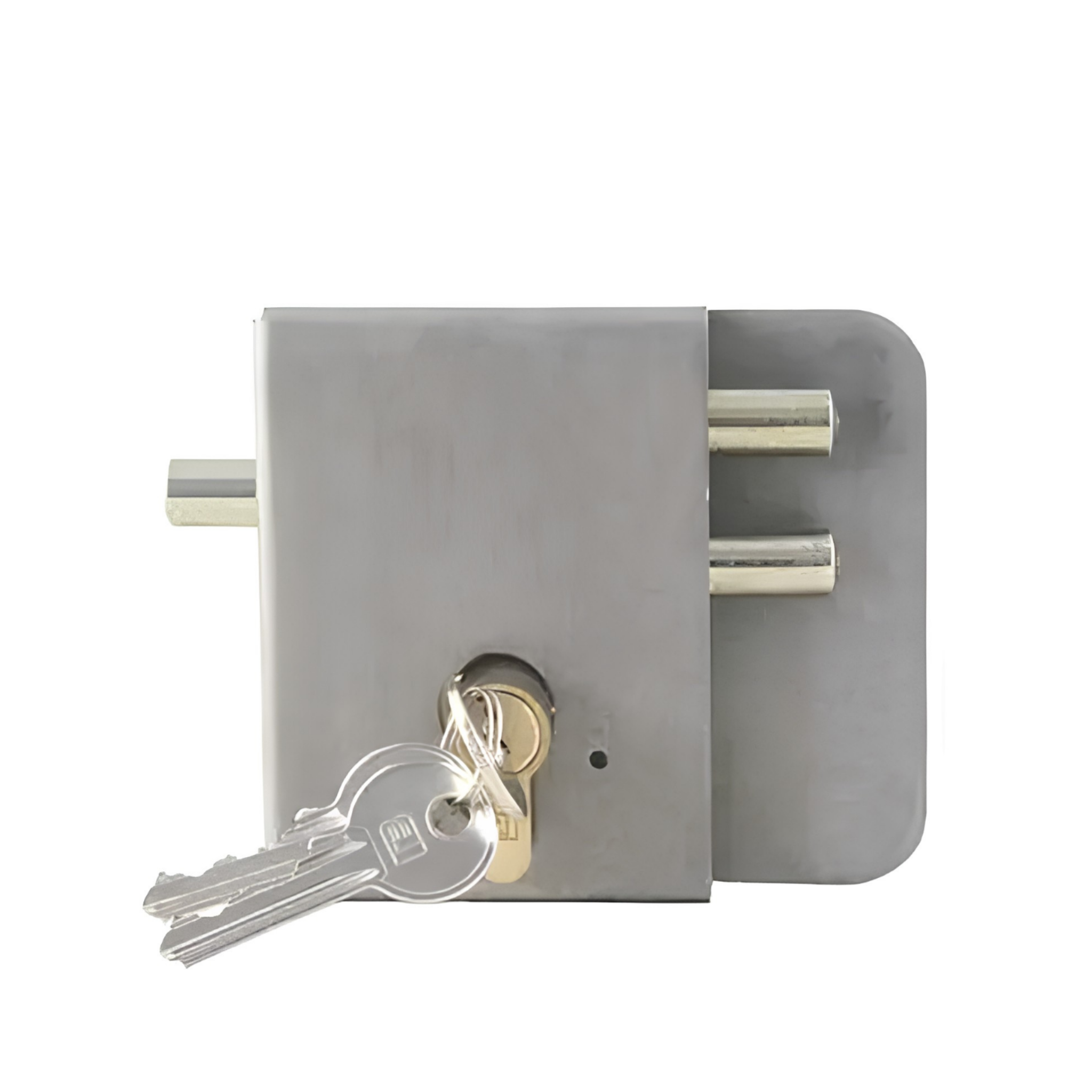 Ultra E gate lock with Cylinder